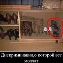 ���� �������, ���������, 40 ��� - ��������� 19 ����� 2014 � ������ ��� ������� � ������