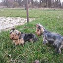 ���� �����, ����������� - ��������� 25 ���� 2014 � ������ ��������� ��������