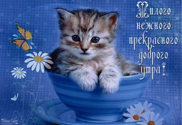 ДОБРОЕ УТРО, СТРАНА ! ДОБРОЕ УТРО, ДРУЗЬЯ! Как легко и чудесно сегодня В это утро нового дня! В ...