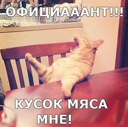 Kошки Kрошки - 1 августа 2014 в 17:15