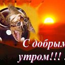 ���� ����, ���, 46 ��� - ��������� 28 ��� 2014 � ������ ���� ����������