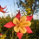  ++, , 55  -  10  2014     