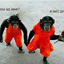 ���� �������, ������, 49 ��� - ��������� 4 ���� 2014 � ������ ������ ��������