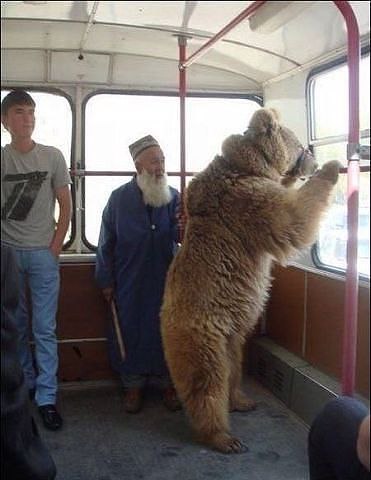 )))