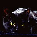 ���� ������, ���������, 48 ��� - ��������� 28 ���� 2014 � ������ ���� ����������