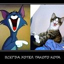 ���� �������, ��������-��-������, 48 ��� - ��������� 9 ������� 2014 � ������ ������ ��������