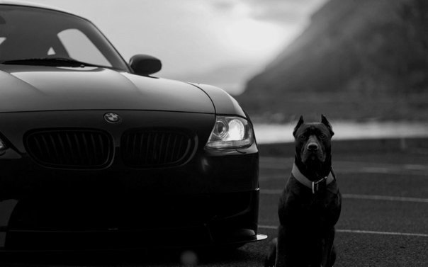 BMW | Mercedes | AUDI - 6  2014  20:04