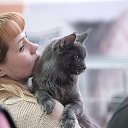 ���� ����� ��������, �������, 51 ��� - ��������� 27 ����� 2014 � ������ ���� ����������