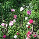 ���� ��������, ������, 63 ���� - ��������� 15 ���� 2014 � ������ ������� ���������