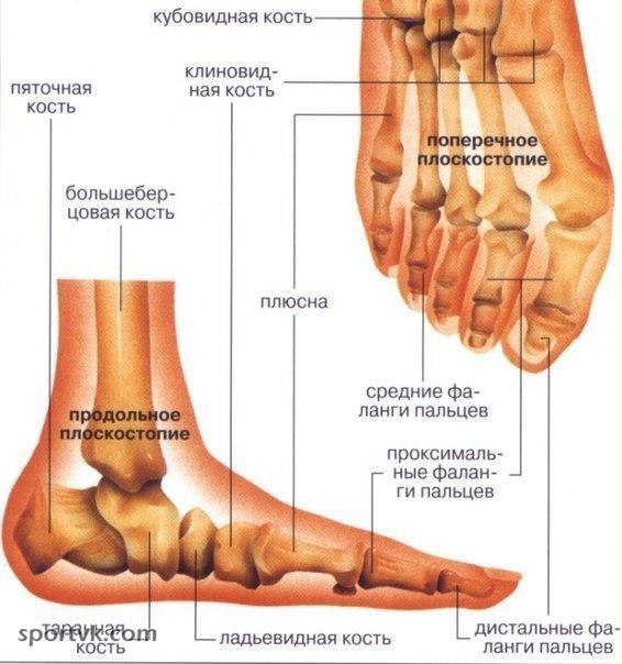 #SPORT_здоровье@sports_is_life. КОМПЛЕКС УПРАЖНЕНИЙ ДЛЯ ЛЕЧЕНИЯ ПЛОСКОСТОПИЯ. Несмотря на свою ...