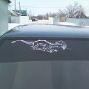 ���� ����, ��������, 38 ��� - ��������� 20 ������� 2014 � ������ ���� ����������