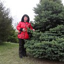 ���� ���������, ���������, 62 ���� - ��������� 19 ��� 2014 � ������ ���� ����������