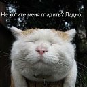  ,  -  3  2014    