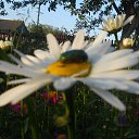  ++, , 55  -  10  2014     