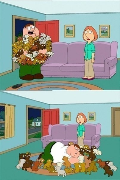 Немного о моем будущем XD