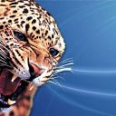���� �������, ������, 44 ���� - ��������� 8 ������� 2014 � ������ ���� ����������