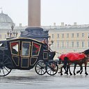 ���� ������, �����-��������� - ��������� 1 ���� 2014 � ������ ������ ��������