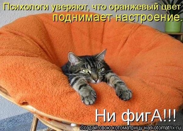   :3 - 5  2014  14:35
