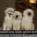 ���� *����, ��������, 59 ��� - ��������� 6 ���� 2014 � ������ ������ ��������