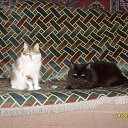 ���� � ����.. �� ������� ������� �