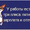 ���� ���������, ������ - ��������� 23 ��� 2014 � ������ ����� �� �������