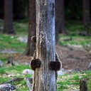 1,2,3,4,5,� ��� ������! �� ������� ���� ����������