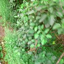 ���� �����, ������� - ��������� 23 ���� 2014 � ������ �23.06.2014�