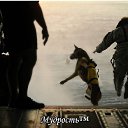 ���� �����, �������, 52 ���� - ��������� 21 ������� 2014 � ������ ���� ����������