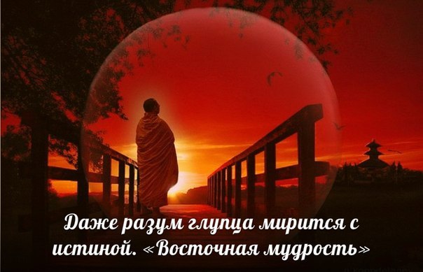   - 1  2014  00:20