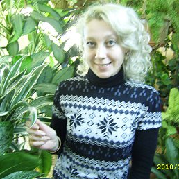 ���� ����, �������������, 53 ���� - ��������� 18 ������� 2014