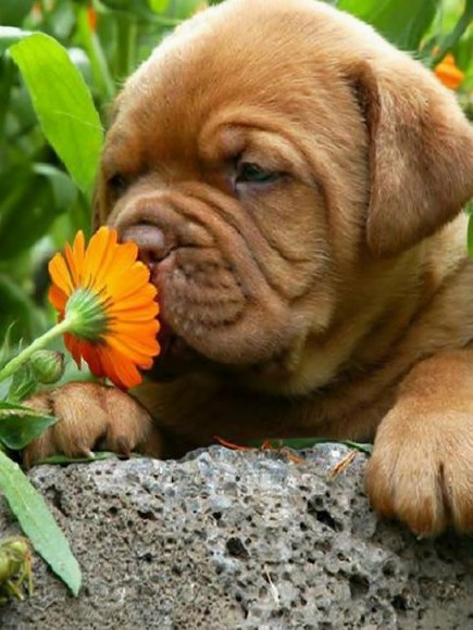 ���� - 10 ��� 2014 � 02:24