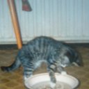 ���� ����, �����-��������� - ��������� 30 ���� 2014 � ������ ���� ����������