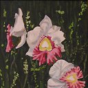 ���� Oleg, ������, 87 ��� - ��������� 15 ���� 2014 � ������ �Paints�