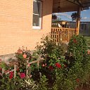 ��� ���� �� ������� ���� ����������