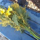 ���� �����, ���������, 60 ��� - ��������� 24 ����� 2014 � ������ ������ ��������