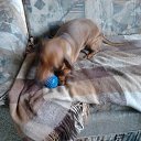 ����� ������.... �� ������� ������ ������ � �������...�