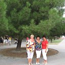 ���� ��������, �������� - ��������� 8 ������ 2014 � ������ ���� ����������