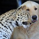 ���� ����, ����, 40 ��� - ��������� 14 ������ 2014 � ������ ������ ��������