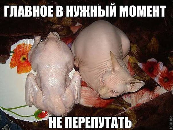  - 22  2014  11:24