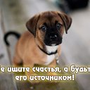 ���� �������, ����� - ��������� 12 ���� 2014 � ������ ������ ��������