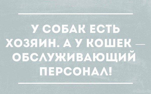 )))