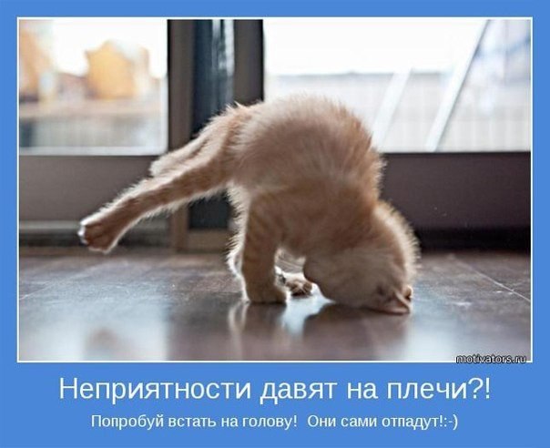  )))