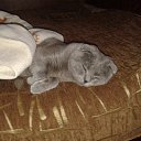 ���� Igor, �������, 57 ��� - ��������� 19 ���� 2014 � ������ ������� ���