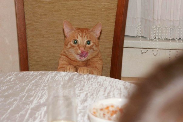    :3