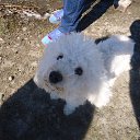 ���� ��������, ����������, 55 ��� - ��������� 20 ���� 2014