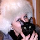 ���� �����, ������� - ��������� 26 ������ 2014 � ������ ���� ����������