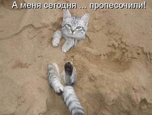 ���� - 10 ���� 2014 � 07:03