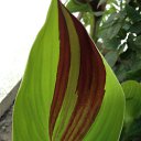 ���� Kalkan, ���������� �����, 58 ��� - ��������� 22 ������ 2014 � ������ ���� ����������