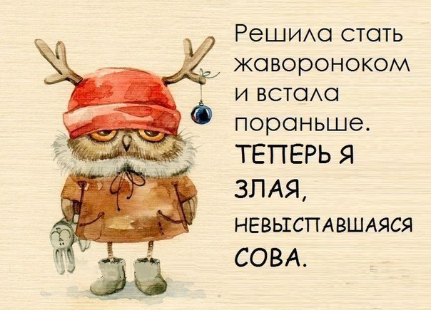  ( ) - 16  2014  04:53