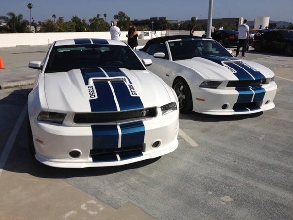 2013 Shelby GT350